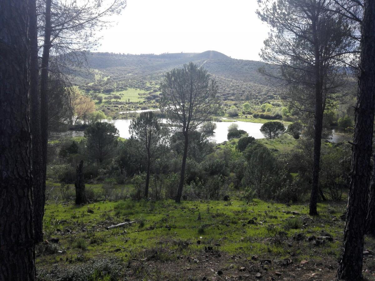 Casas Rurales Cijara Guest House Helechosa Eksteriør bilde